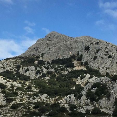 Villanueva del RosarioLa Casita De Piedra别墅 外观 照片