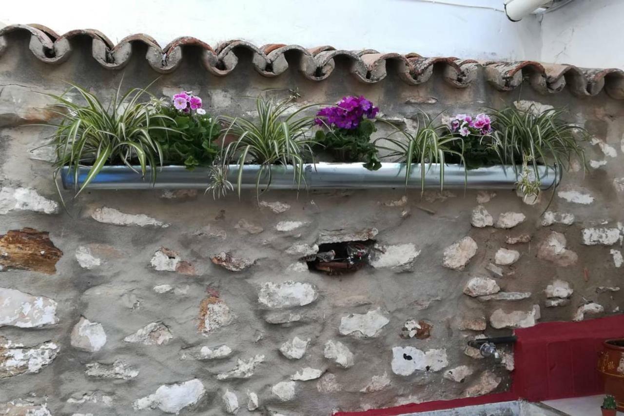 Villanueva del RosarioLa Casita De Piedra别墅 外观 照片