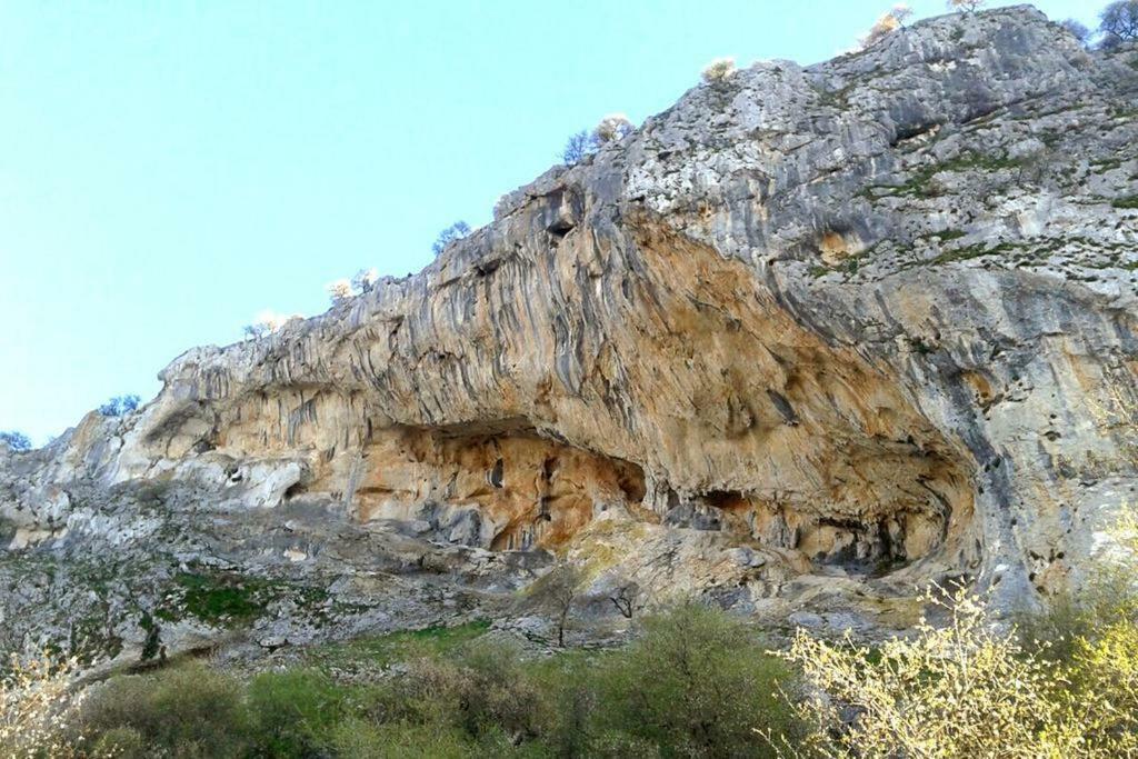 Villanueva del RosarioLa Casita De Piedra别墅 外观 照片